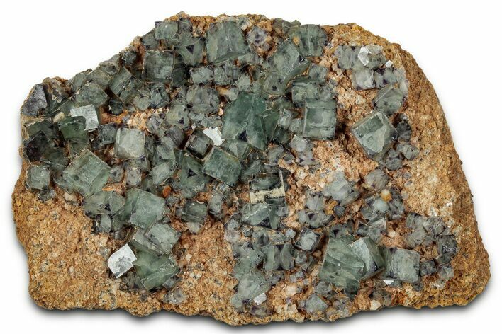 Green Cubic Fluorite Cluster with Purple Corners - Namibia #337157